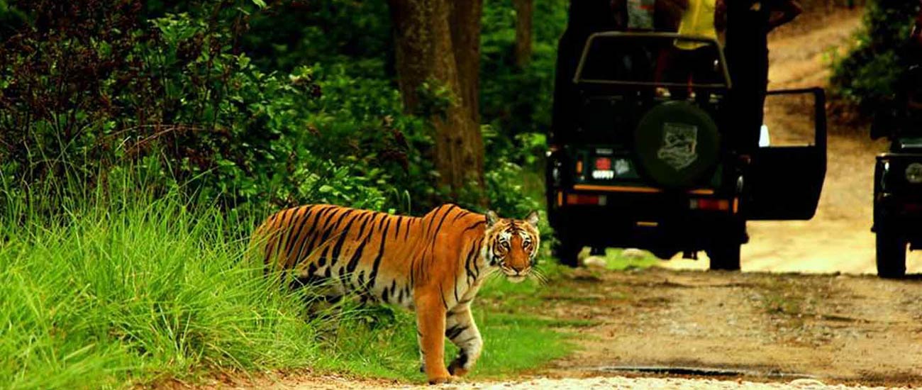 Corbett Budget Tour Packages