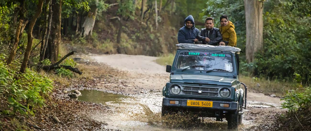 Bijrani Forest Zone  Booking